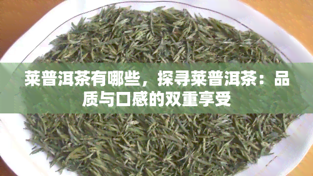 莱普洱茶有哪些，探寻莱普洱茶：品质与口感的双重享受