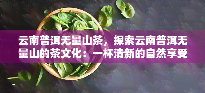 云南普洱无量山茶，探索云南普洱无量山的茶文化：一杯清新的自然享受