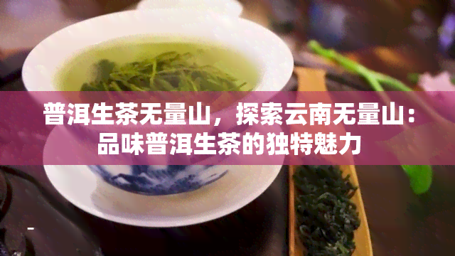 普洱生茶无量山，探索云南无量山：品味普洱生茶的独特魅力