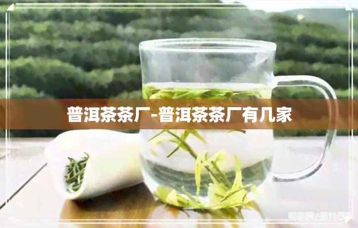 普洱茶茶厂-普洱茶茶厂有几家