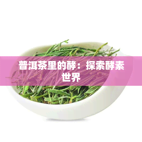 普洱茶里的酵：探索酵素世界