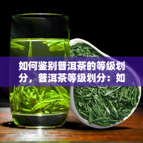 如何鉴别普洱茶的等级划分，普洱茶等级划分：如何辨别茶叶品质？