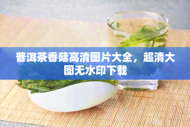 普洱茶香菇高清图片大全，超清大图无水印下载