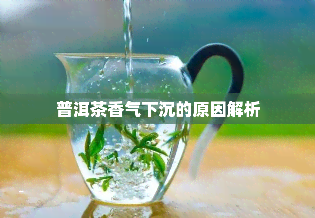 普洱茶香气下沉的原因解析