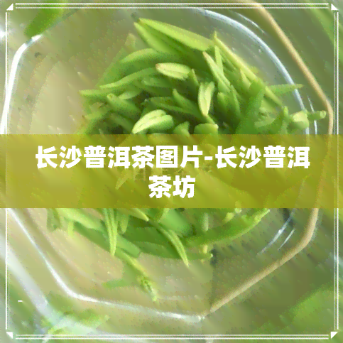 长沙普洱茶图片-长沙普洱茶坊