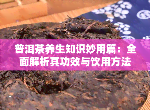 普洱茶养生知识妙用篇：全面解析其功效与饮用方法