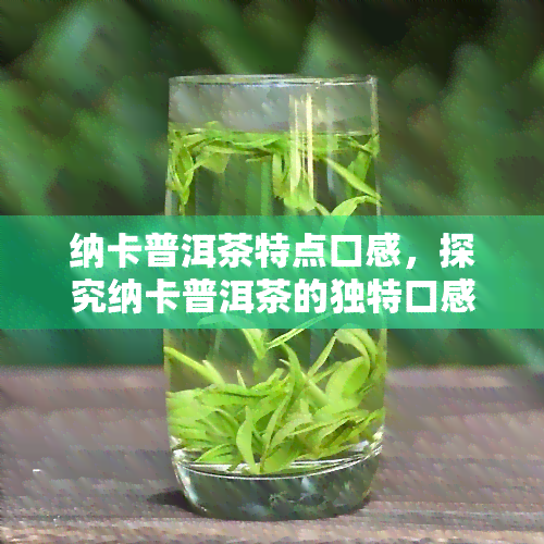 纳卡普洱茶特点口感，探究纳卡普洱茶的独特口感特性