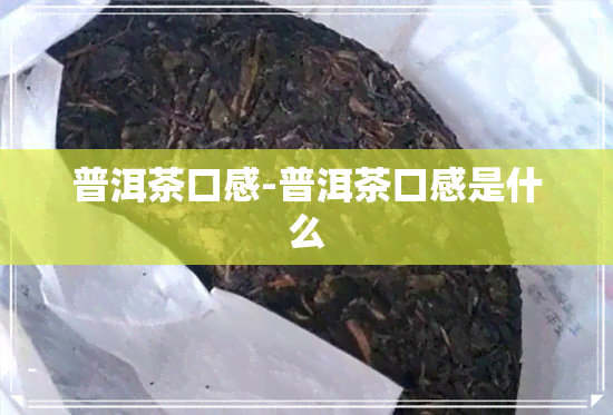 普洱茶口感-普洱茶口感是什么