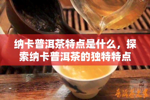 纳卡普洱茶特点是什么，探索纳卡普洱茶的独特特点