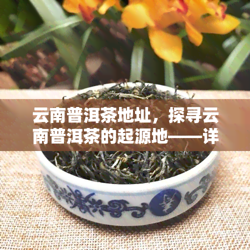 云南普洱茶地址，探寻云南普洱茶的起源地——详细地址解析