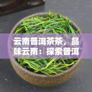 云南普洱茶茶，品味云南：探索普洱茶的世界，畅游茶之旅