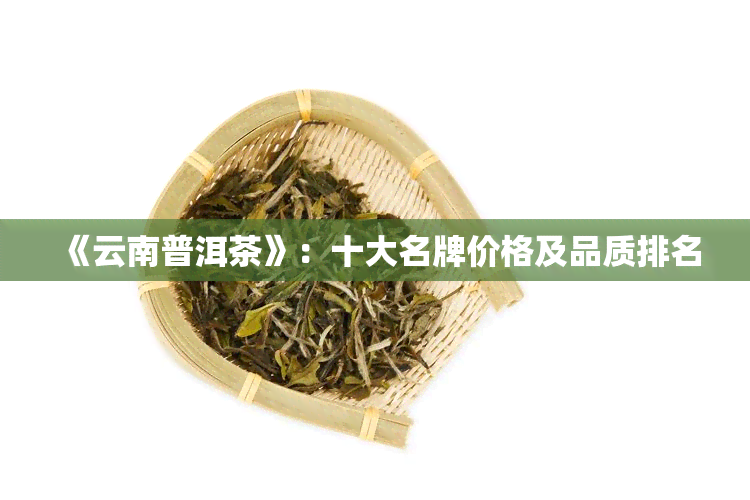 《云南普洱茶》：十大名牌价格及品质排名