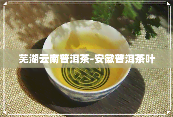 芜湖云南普洱茶-安徽普洱茶叶