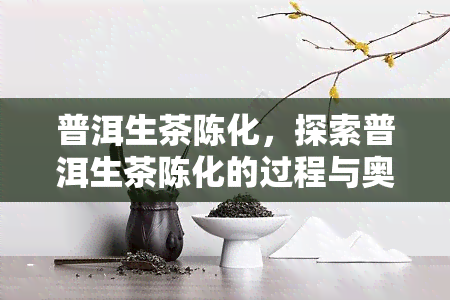 普洱生茶陈化，探索普洱生茶陈化的过程与奥秘