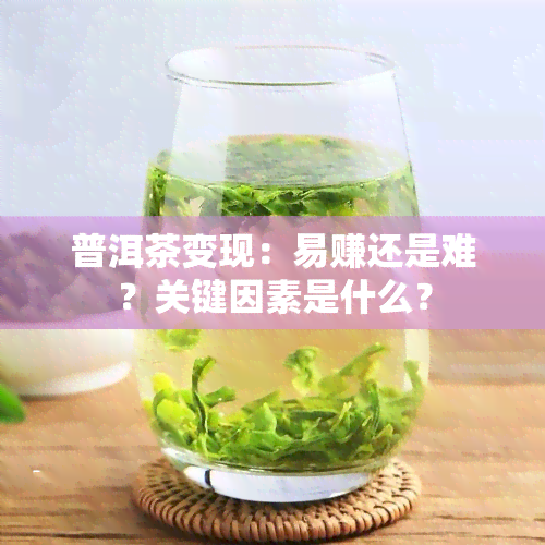 普洱茶变现：易赚还是难？关键因素是什么？