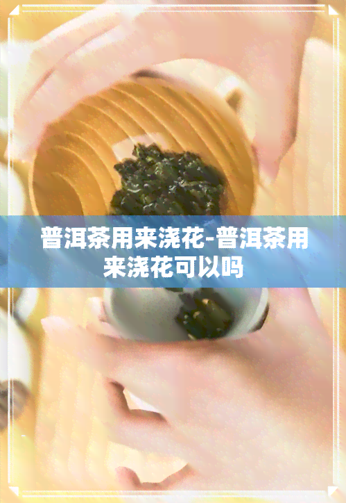 普洱茶用来浇花-普洱茶用来浇花可以吗