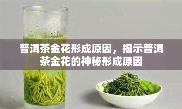 普洱茶金花形成原因，揭示普洱茶金花的神秘形成原因