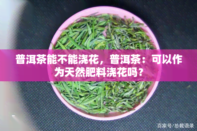 普洱茶能不能浇花，普洱茶：可以作为天然肥料浇花吗？