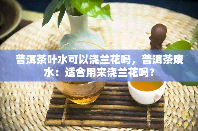 普洱茶叶水可以浇兰花吗，普洱茶废水：适合用来浇兰花吗？