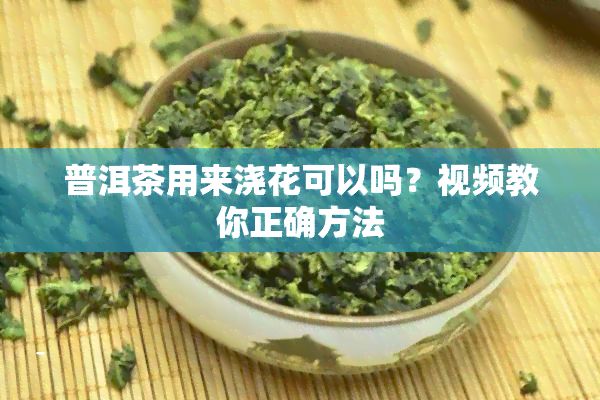 普洱茶用来浇花可以吗？视频教你正确方法