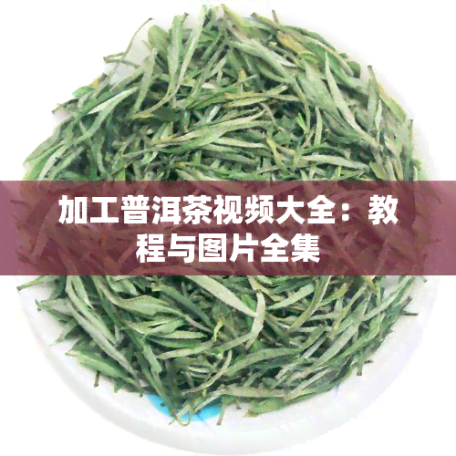 加工普洱茶视频大全：教程与图片全集