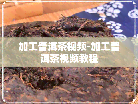 加工普洱茶视频-加工普洱茶视频教程