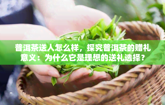 普洱茶送人怎么样，探究普洱茶的赠礼意义：为什么它是理想的送礼选择？