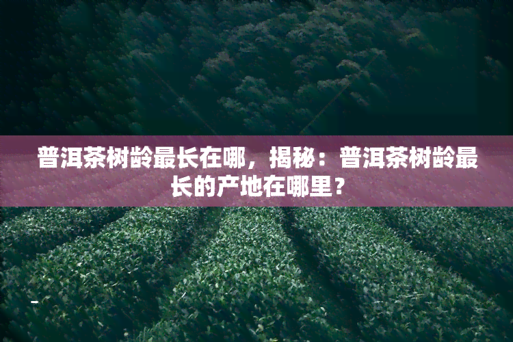 普洱茶树龄最长在哪，揭秘：普洱茶树龄最长的产地在哪里？