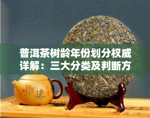 普洱茶树龄年份划分权威详解：三大分类及判断方法