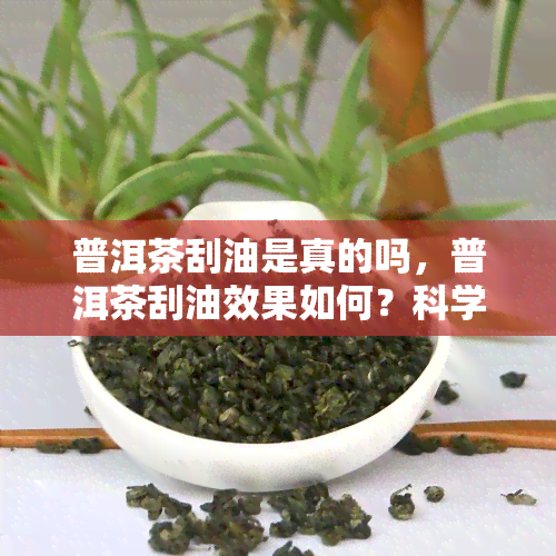 普洱茶刮油是真的吗，普洱茶刮油效果如何？科学解析