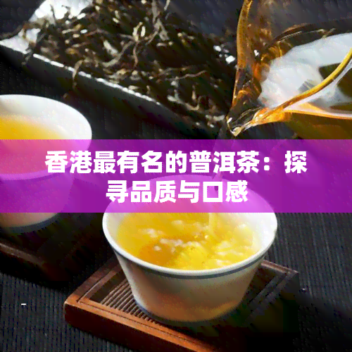 最有名的普洱茶：探寻品质与口感