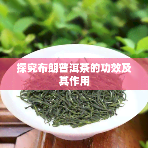 探究布朗普洱茶的功效及其作用