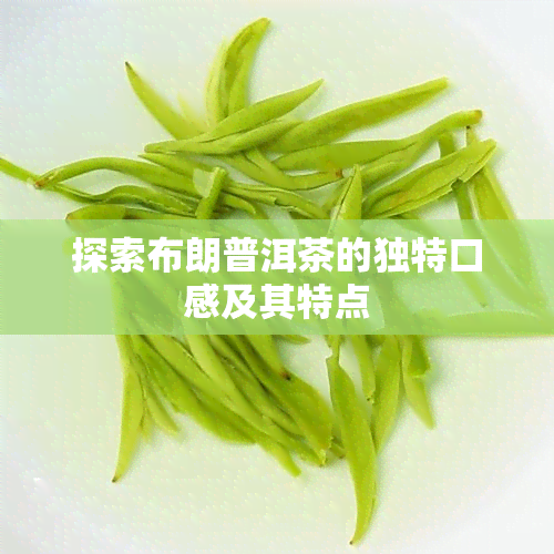 探索布朗普洱茶的独特口感及其特点