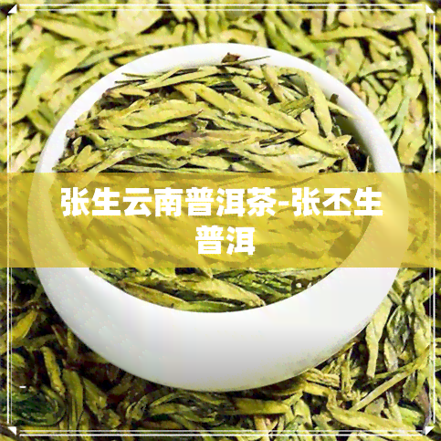 张生云南普洱茶-张丕生 普洱