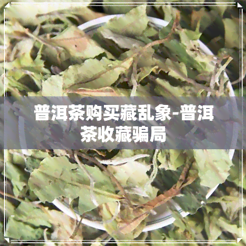 普洱茶购买藏乱象-普洱茶收藏骗局