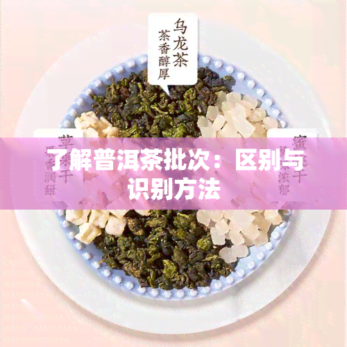 了解普洱茶批次：区别与识别方法