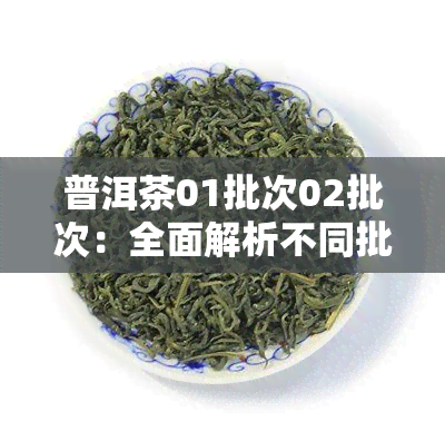 普洱茶01批次02批次：全面解析不同批次间的区别与特点