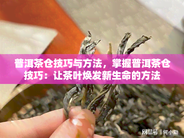 普洱茶仓技巧与方法，掌握普洱茶仓技巧：让茶叶焕发新生命的方法