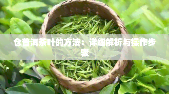 仓普洱茶叶的方法：详细解析与操作步骤