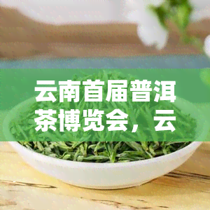 云南首届普洱茶博览会，云南省举办首次普洱茶博览会，展示丰富茶文化