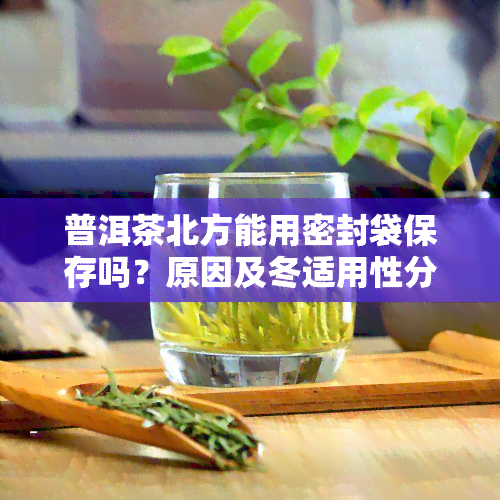 普洱茶北方能用密封袋保存吗？原因及冬适用性分析