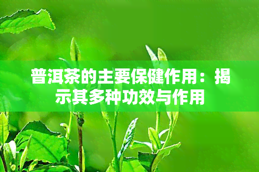 普洱茶的主要保健作用：揭示其多种功效与作用