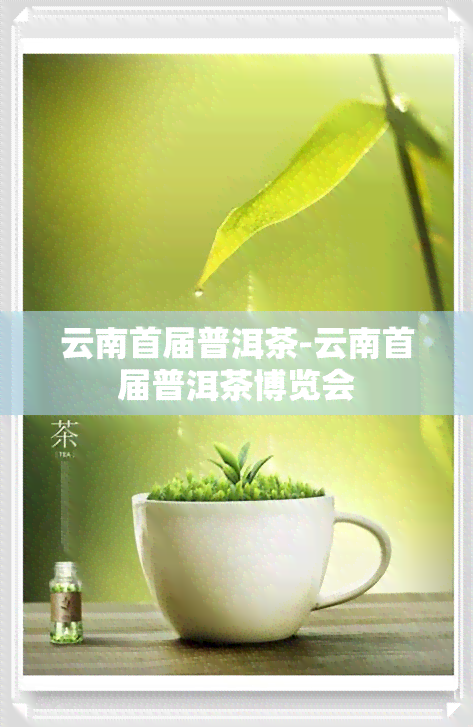 云南首届普洱茶-云南首届普洱茶博览会