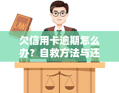 欠信用卡逾期怎么办？自救方法与还款策略