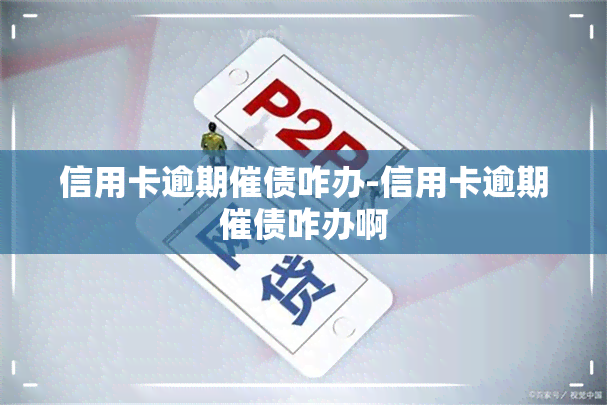 信用卡逾期催债咋办-信用卡逾期催债咋办啊