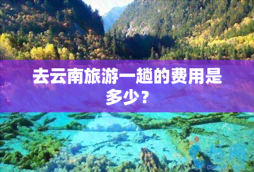 去云南旅游一趟的费用是多少？