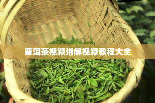 普洱茶视频讲解视频教程大全