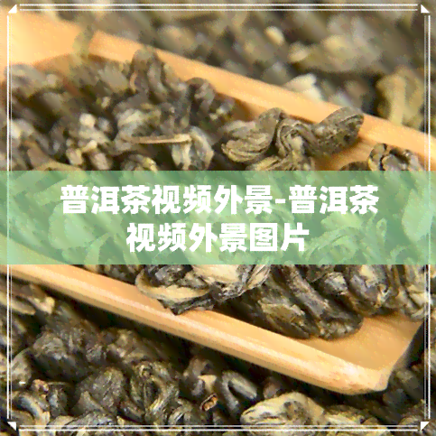 普洱茶视频外景-普洱茶视频外景图片