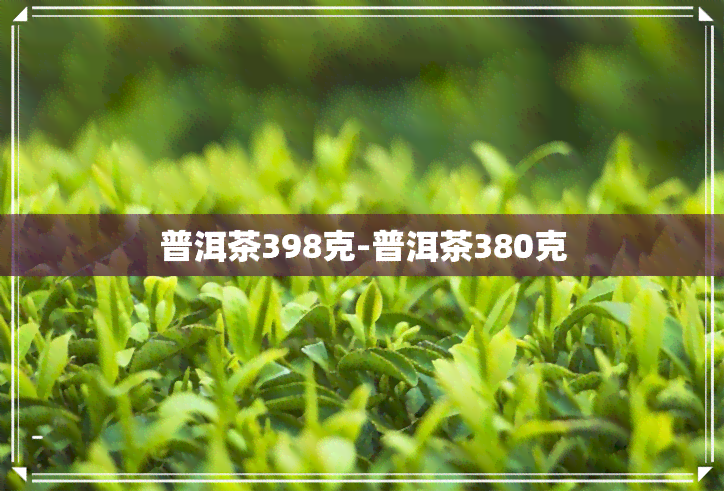 普洱茶398克-普洱茶380克