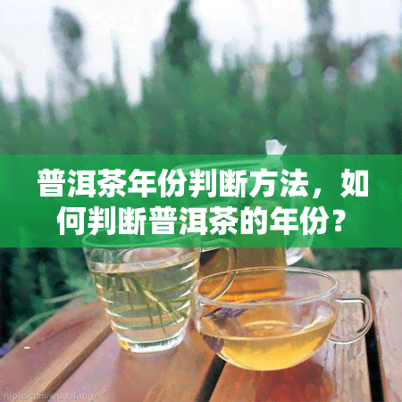 普洱茶年份判断方法，如何判断普洱茶的年份？关键技巧大揭秘！